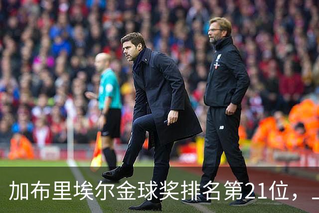 加布里埃尔金球奖排名第21位，上赛季英超17次零封为后卫最多