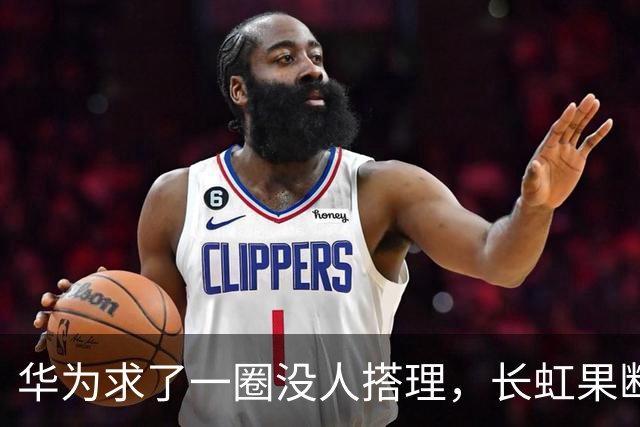 华为求了一圈没人搭理，长虹果断接盘