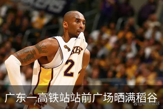 广东一高铁站站前广场晒满稻谷“治愈风”拉满，当地回应：不影响运行即可晾晒