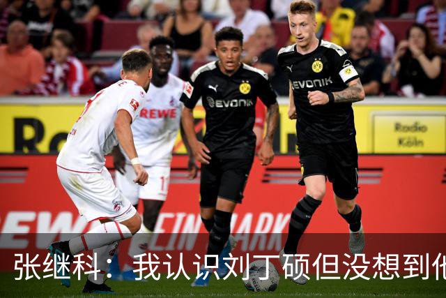 张继科：我认识刘丁硕但没想到他这么坏！想撕他的话，能把他撕成碎片