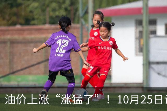 油价上涨“涨猛了”！10月25日调价后92/95号汽油价格，玉米承压，“磨底”待涨？