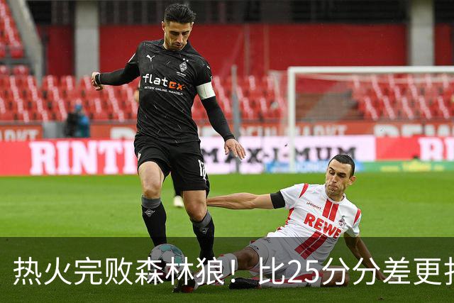 热火完败森林狼！比25分分差更扎心的，是字母哥的打法转变