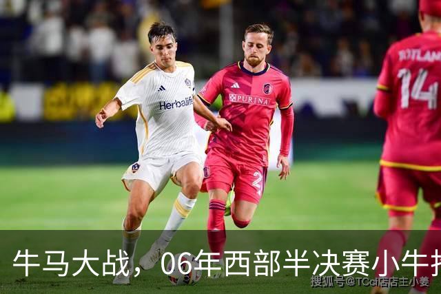 牛马大战，06年西部半决赛小牛抢七险胜马刺，邓肯场均32+12，诺维茨基什么数据？