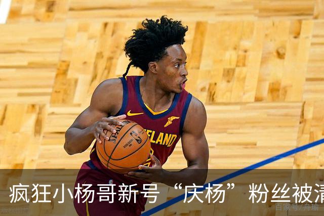 疯狂小杨哥新号“庆杨”粉丝被清零，新增关注也不计入粉丝量