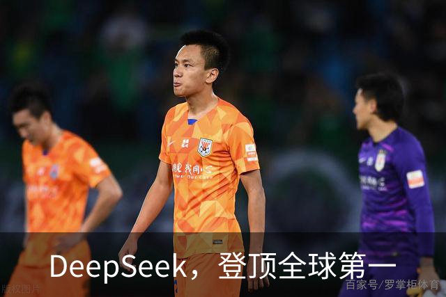 DeepSeek，登顶全球第一